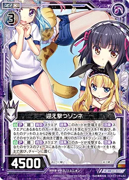 迎え撃つゾンネ