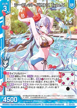 シークレット・バカンス Type.V