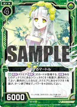 研究するマートル