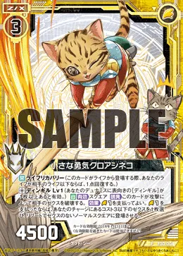 小さな勇気クロアシネコ
