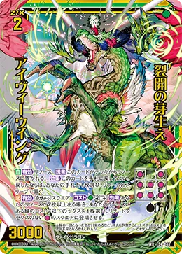 裂開の芽生え アイヴィーウイング