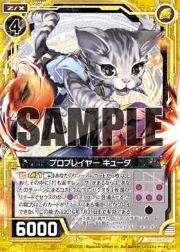 プロプレイヤー キューダ