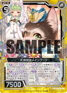 天満神猫メインクーン