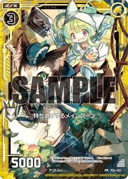 持ち逃げするメインクーン