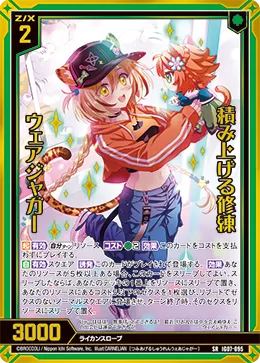 積み上げる修練 ウェアジャガー